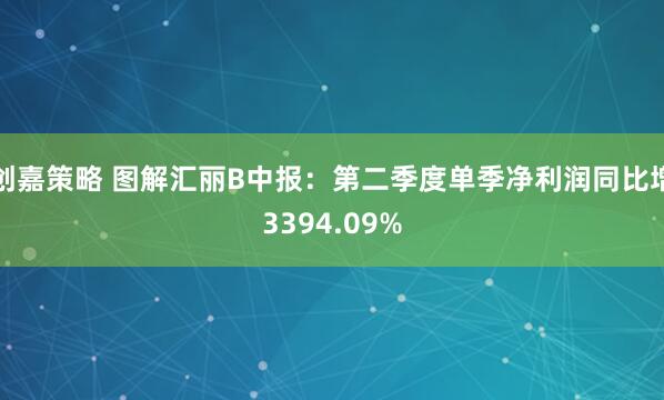 创嘉策略 图解汇丽B中报：第二季度单季净利润同比增3394.09%