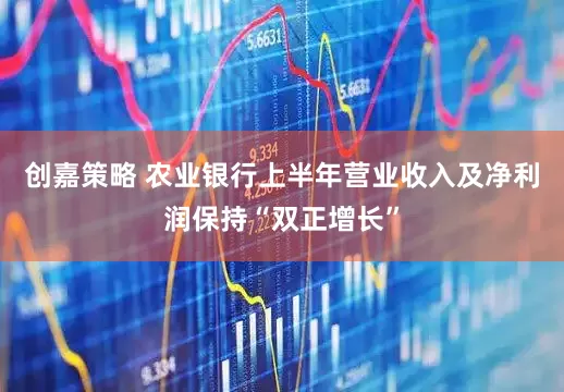 创嘉策略 农业银行上半年营业收入及净利润保持“双正增长”