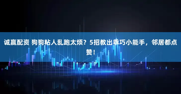 诚赢配资 狗狗粘人乱跑太烦？5招教出乖巧小能手，邻居都点赞！