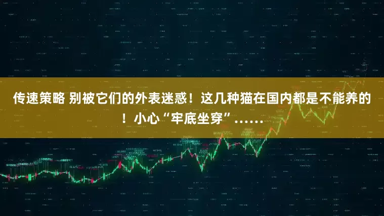 传速策略 别被它们的外表迷惑！这几种猫在国内都是不能养的！小心“牢底坐穿”……