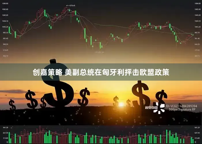 创嘉策略 美副总统在匈牙利抨击欧盟政策